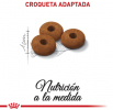 Appetite Control Care 